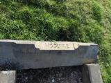 image of grave number 846276